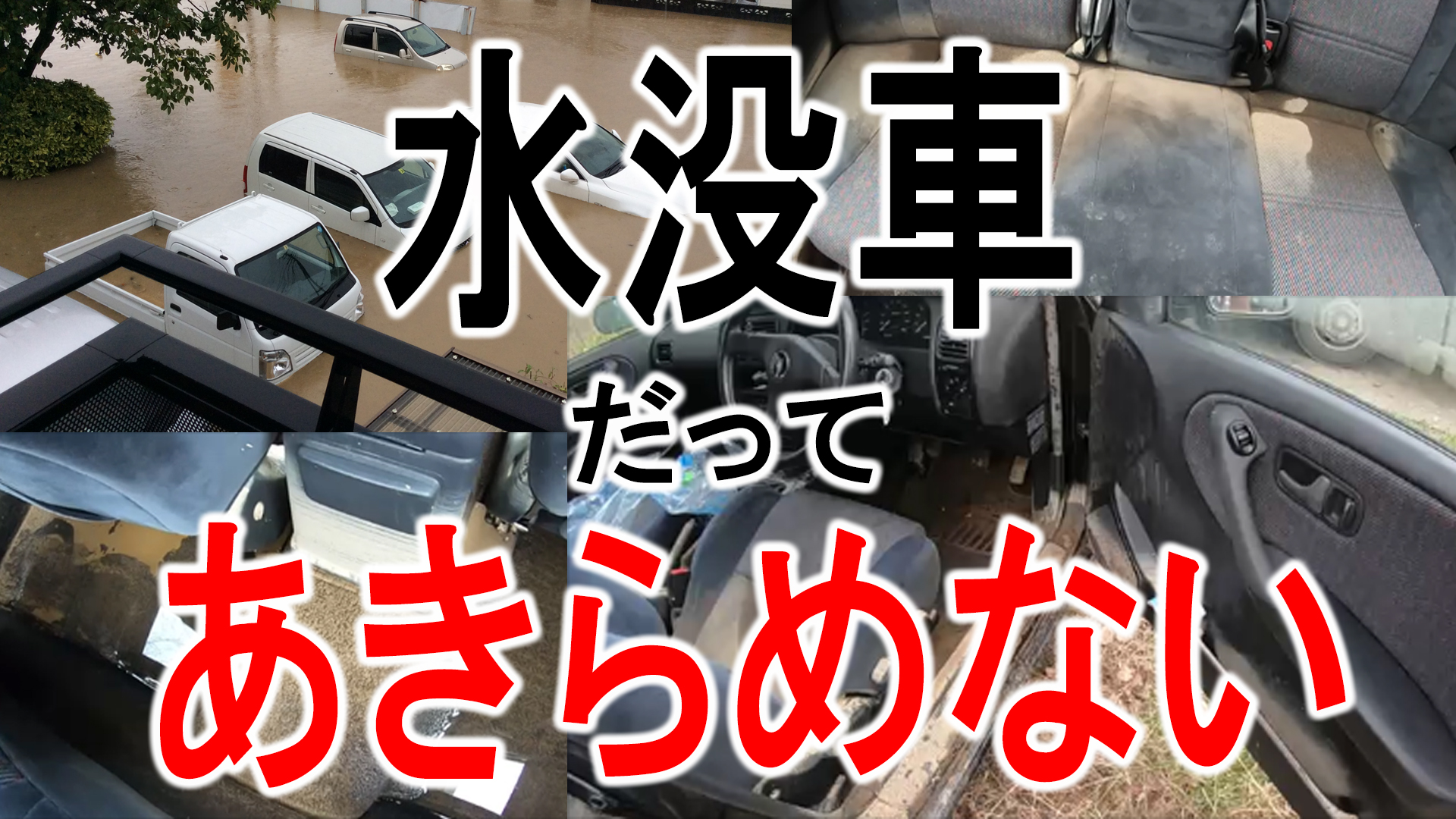 こんな悲しい現実 明日は我が身を忘れないで トラスト企画